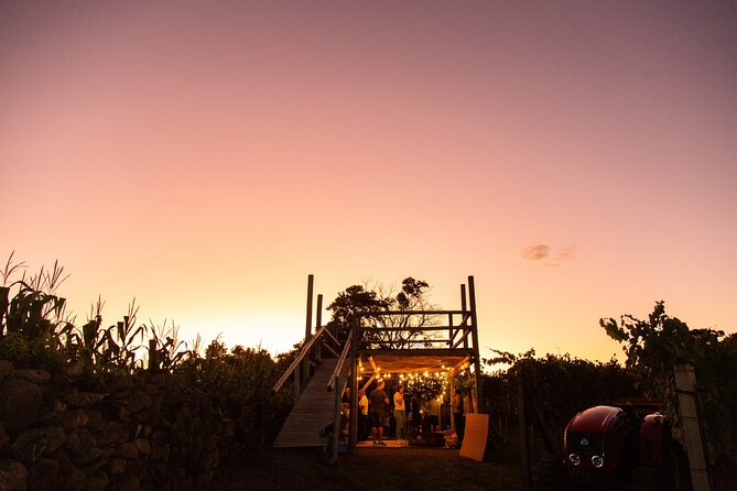 Harvest Evening - Grape Pisa at Vinhos Cristofoli - Arriving at Vinhos Cristofoli at 5:30 p.m.