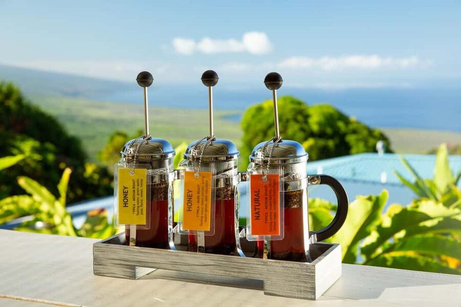 Hawaii: Hala Tree Coffee Farm Tour and Tasting - Walking among the coffee trees
