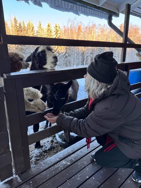Helsinki: Alpaca Farm Tour with Guided Walk (private) - Who Will Enjoy This Most?