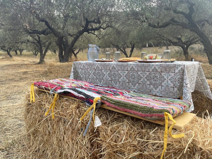 Heraklion: Cretan Farmers Brunch and Olive Grove Tour - A Cretan brunch that begins before the table