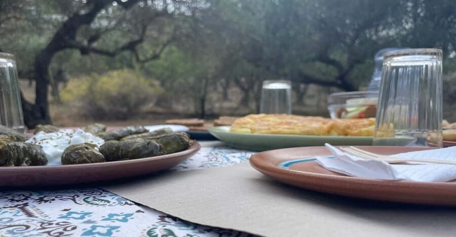Heraklion: Cretan Farmers Brunch and Olive Grove Tour - The dragon fruit farm adds an unexpected twist