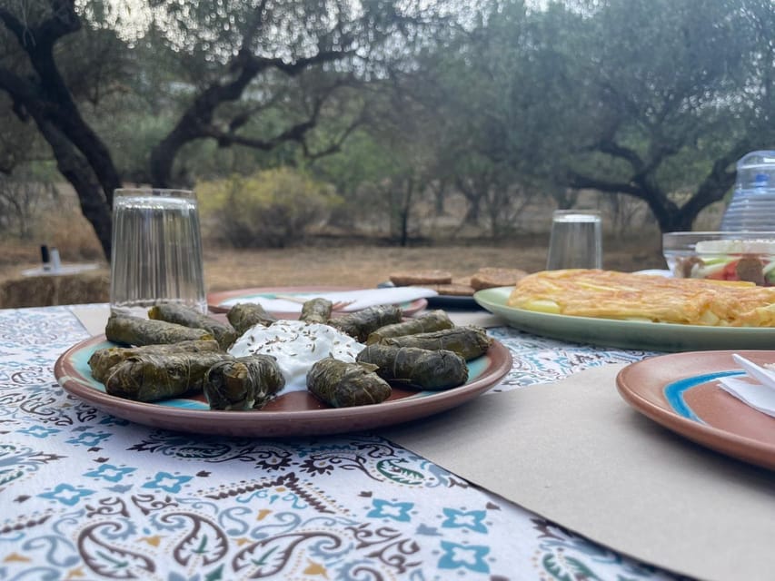 Heraklion: Cretan Farmers Brunch and Olive Grove Tour - Who will enjoy this 90-minute outing?