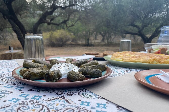 Heraklion:Olive & Dragon Fruit Farm Tour & Cretan Farmers Brunch - Why this small farm visit is worth your time
