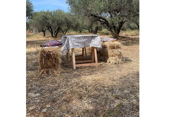 Heraklion:Olive & Dragon Fruit Farm Tour & Cretan Farmers Brunch - Brunch beneath the olive trees