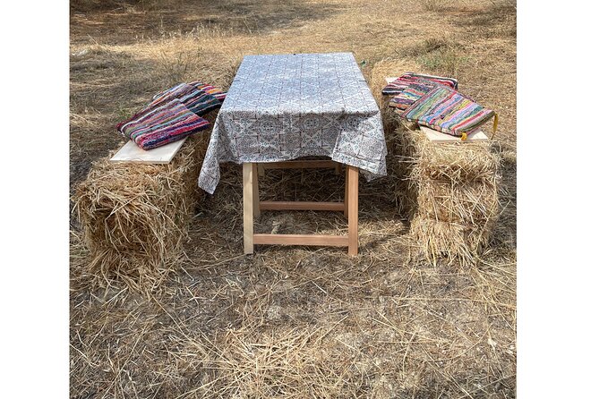 Heraklion:Olive & Dragon Fruit Farm Tour & Cretan Farmers Brunch - A family welcome with a personal feel