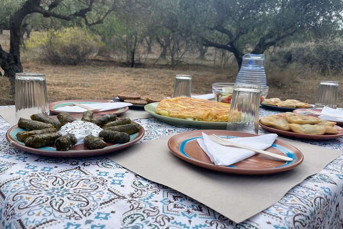Heraklion:Olive & Dragon Fruit Farm Tour & Cretan Farmers Brunch - Arriving in Prassas near Heraklion