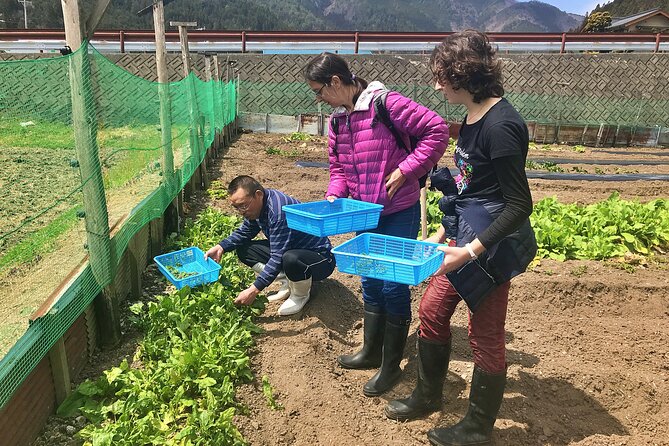 Hida Private E-Bike Tour with Premium Lunch and Farm Experience - A 1-kilometre tunnel needs honest consideration