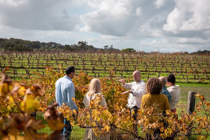 Hidden Gems: Boutique Full-Day Wine, Farm & Lunch Tour - Margaret River Hideaway and Farmstay: alpacas before wine