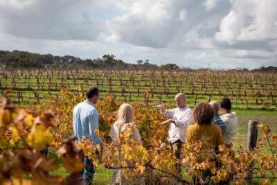 Hidden Gems Margaret River: Authentic Wine & Farm Experience
