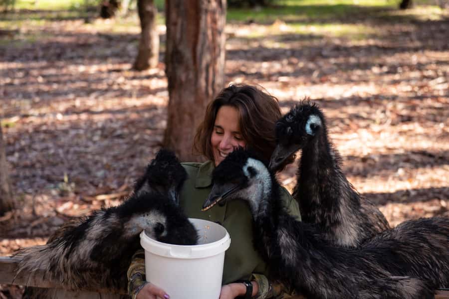 Hidden Gems Margaret River: Authentic Wine & Farm Experience - Who should book this experience?