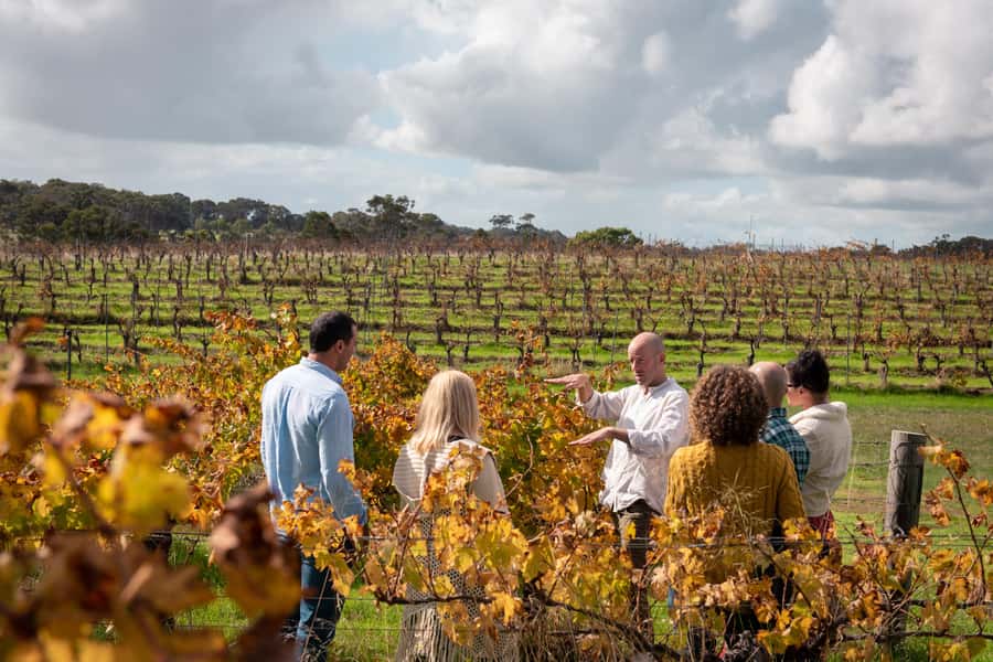 Hidden Gems Margaret River: Authentic Wine & Farm Experience - The farm stop: alpacas, emus, and a proper country breakfast