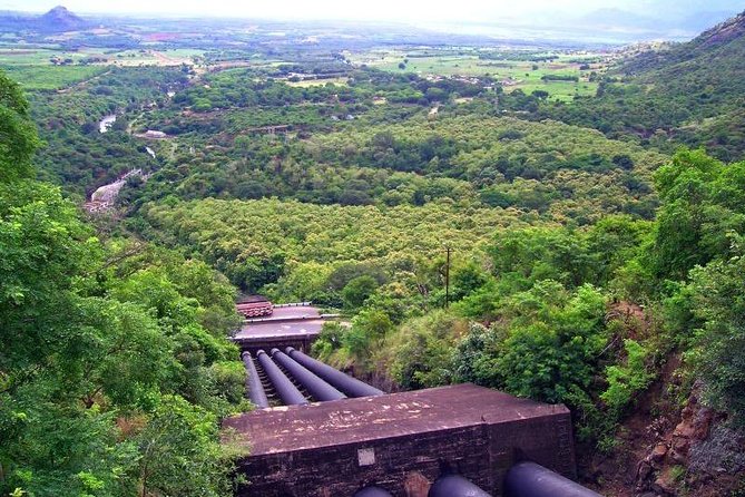 Hill station farm house stay - Theni Market and the Rhythm of Local Life