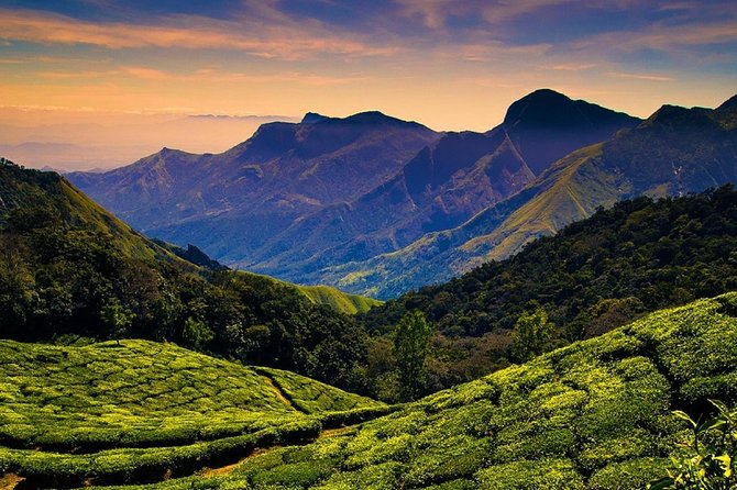 Hill station farm house stay - Periyar Tiger Reserve on Day Two