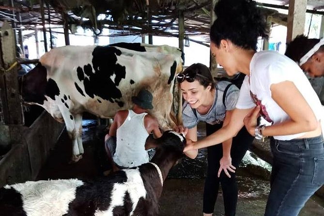 Ho Chi Minh City Full-Day Farm trip with Healthy Cooking Class - Leaving Ho Chi Minh City at 8:00 a.m.