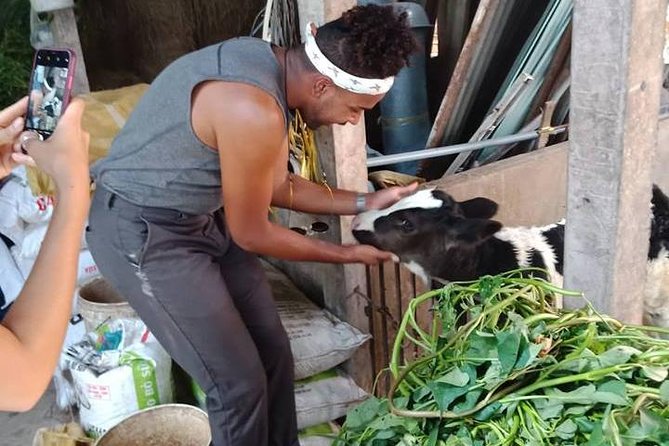 Ho Chi Minh City Full-Day Farm trip with Healthy Cooking Class - Cooking prawn wraps, papaya salad, and banana spring rolls