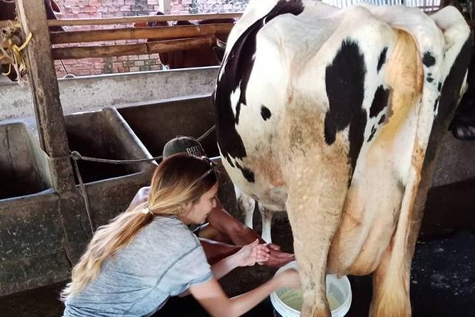 Ho Chi Minh City Full-Day Farm trip with Healthy Cooking Class - Who will enjoy this day most