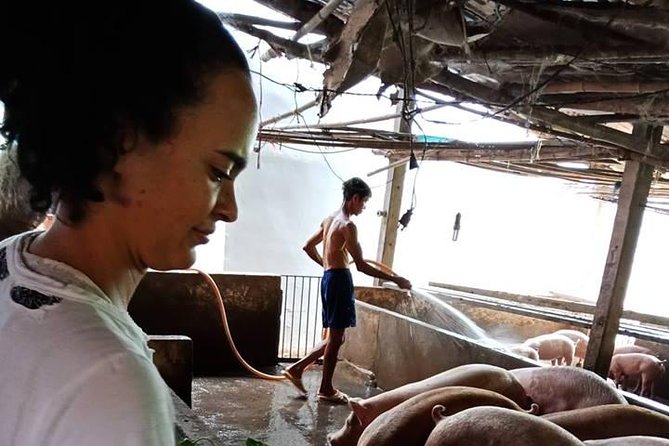 Ho Chi Minh City Full-Day Farm trip with Healthy Cooking Class - Meeting the animals and the people who care for them