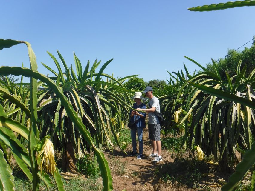 Ho Coc Beach, Nature Reserve & Dragon Fruit Farm Day Tour - The wet seafood market and Phuoc Buu Nature Reserve