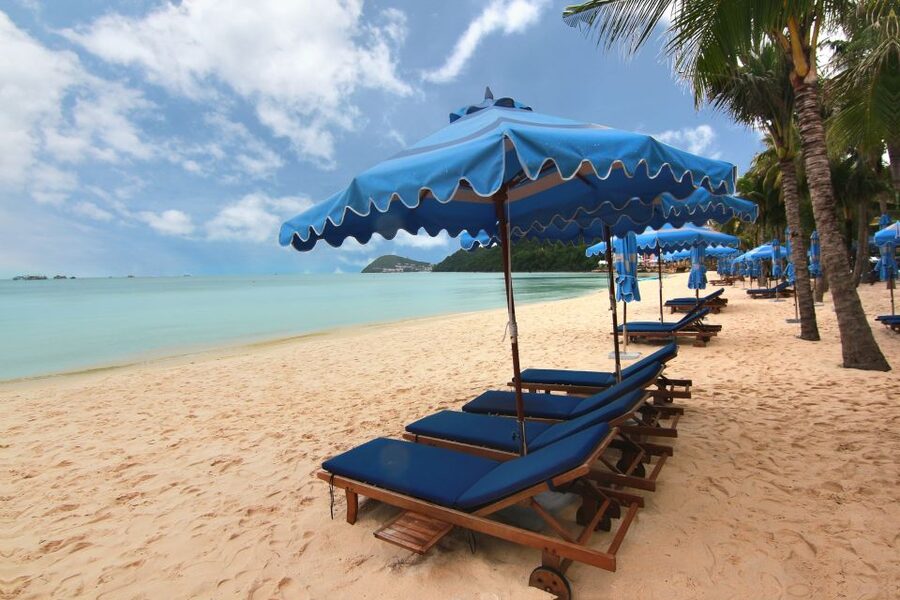 Ho Coc Beach, Nature Reserve & Dragon Fruit Farm Day Tour - The private format and what the price covers