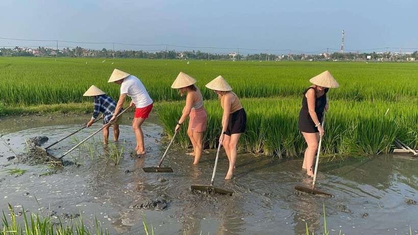 Hoi An: Buffalo riding, Cycling,be a Farmer and Fisher man - Stories from the war years