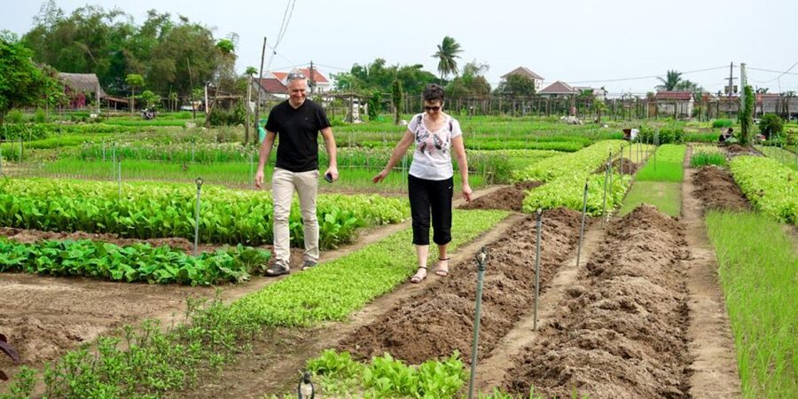 Hoi An Countryside Bicycle Tour - Farming - Cooking Class - Who will enjoy this Hoi An bicycle tour?