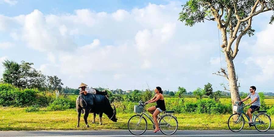Hoi An: Countryside Bicycle Tour with Farm, Basket Boat Ride - Why Cam Thanh Makes a Good Half-Day Escape