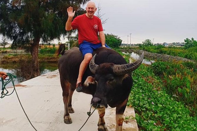 Hoi An Countryside Tour with Bamboo Basket Boat Rowing , Buffalo Ride, Farming - Why this half-day tour feels different from a normal Hoi An outing