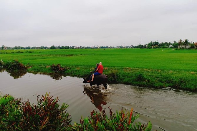Hoi An Countryside Tour with Bamboo Basket Boat Rowing , Buffalo Ride, Farming - What the $76.42 price actually covers