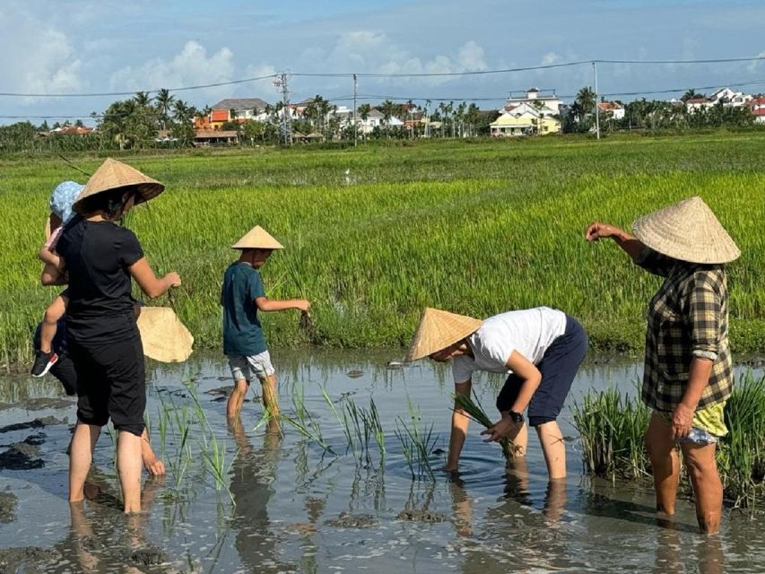 Hoi An:Cycling,Traditional Farming & Fishing Life Experience - From Hoi An to the fields of Cam Thanh