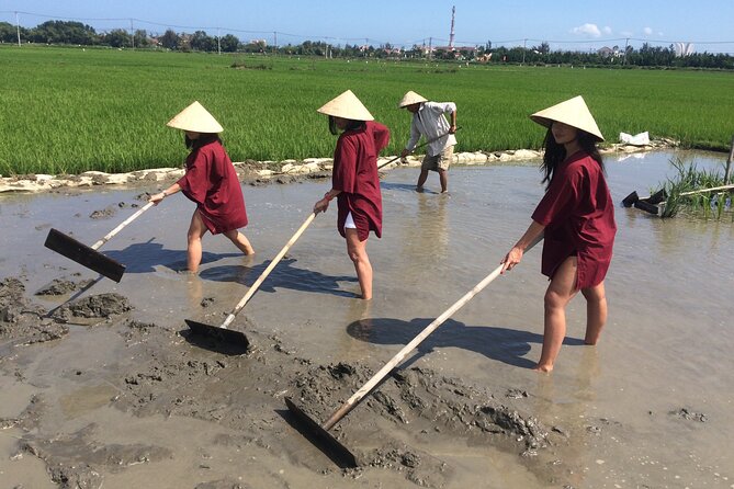 Hoi An Rice Farm Tour and Buffalo Riding with Local Home Meal - Key points at a glance