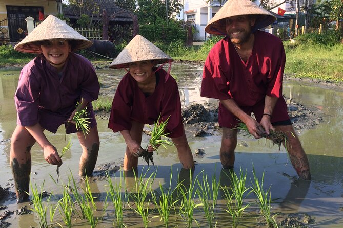 Hoi An Rice Farm Tour and Buffalo Riding with Local Home Meal - Water Buffalo Riding in Its Proper Context