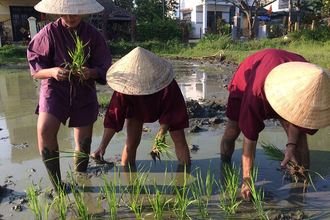 Hoi An Rice Farm Tour and Buffalo Riding with Local Home Meal - A Home Meal With Live Cooking