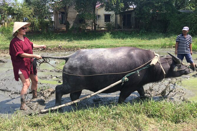 Hoi An Rice Farm Tour and Buffalo Riding with Local Home Meal - Timing, Pickup, and Practical Comfort