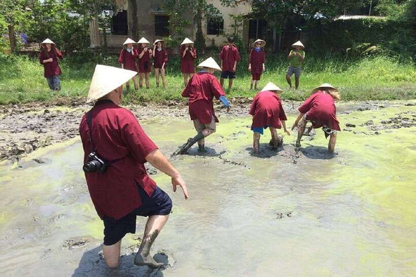 Hoi An Wet Rice Farming Tour-Basket Boat Tour Fishing-Lunch - Key points at a glance