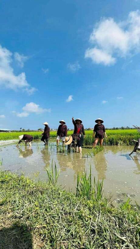 Hoi An Wet Rice Farming Tour-Basket Boat Tour Fishing-Lunch - Buffalo riding along the stream