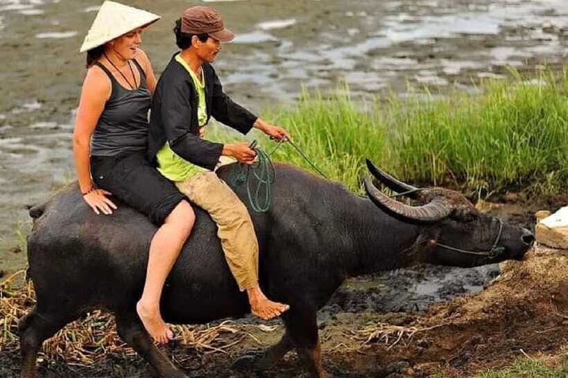 Hoi An Wet Rice Farming Tour-Basket Boat Tour Fishing-Lunch - Group size, language, and pickup details