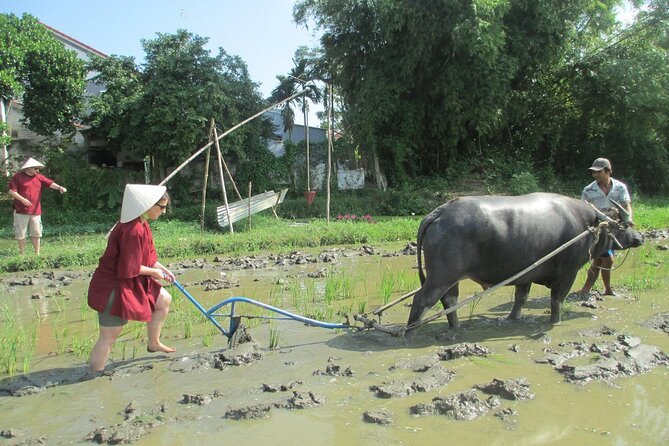 Hoi An Wet Rice Farming Tour Private Round Boat Fishing & Lunch - Starting in Cam Thanh’s rice fields