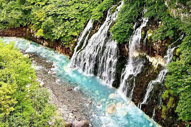 Hokkaido Farm Tomita Shikisai Hill Waterfall& Blue Pond Day Tour - Key points before you book