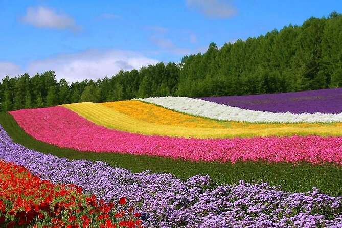 Hokkaido Farm Tomita Shikisai Hill Waterfall& Blue Pond Day Tour - Why this Sapporo day trip works
