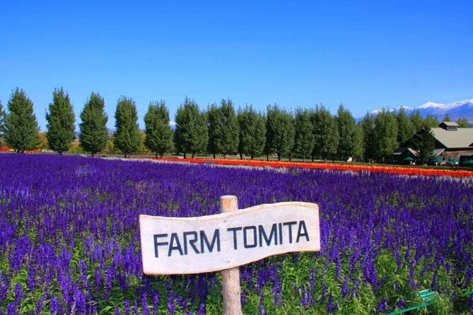 Hokkaido Farm Tomita Shikisai Hill Waterfall& Blue Pond Day Tour - Shikisai-no-Oka: 90 minutes among the flowers