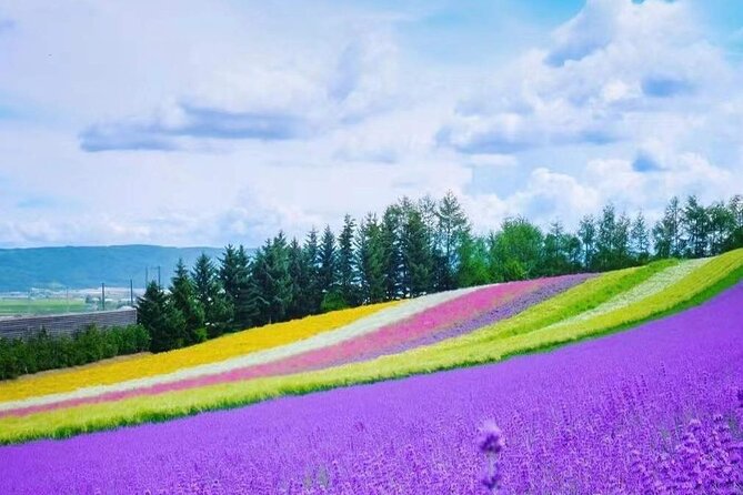 Hokkaido Farm Tomita Shikisai Hill Waterfall& Blue Pond Day Tour - Shirahige Falls and Shirogane Onsen