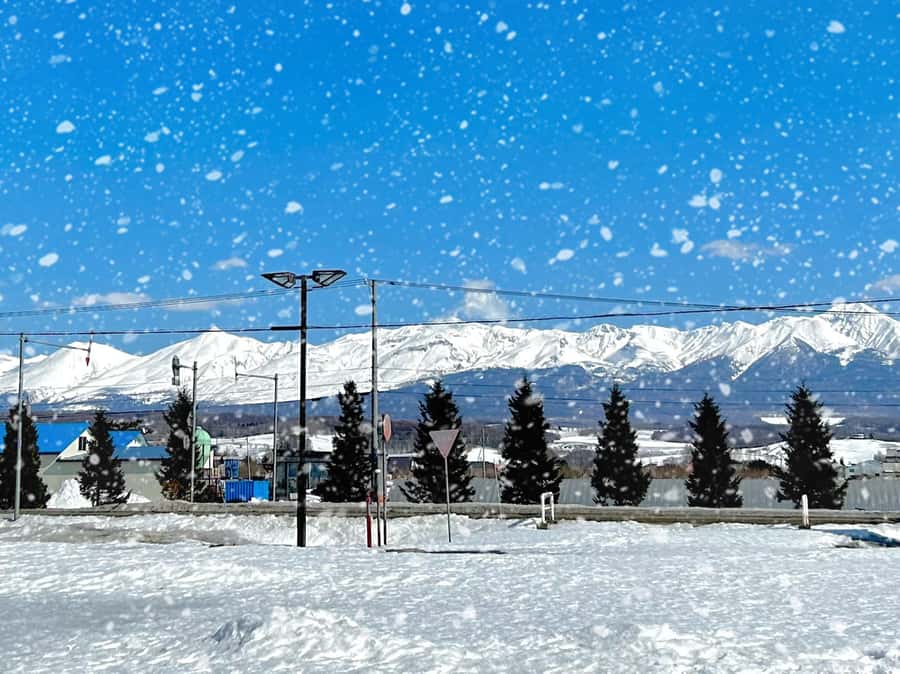Hokkaido Lavender farm & Furano Flower Tour from Sapporo - Bus Comfort and the Rhythm of the Day