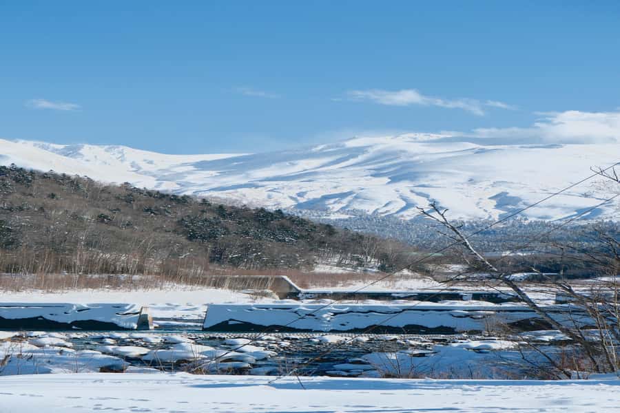 Hokkaido Lavender farm & Furano Flower Tour from Sapporo - Shikisai-no-Oka’s Hillside Flower Fields