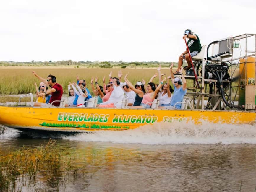 Homestead: Everglades Alligator Farm Entry and Airboat Ride - Looking for alligators, birds, and turtles from the boat