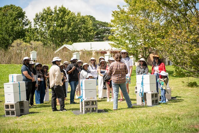 Honey Farm Tour. Morning Tea. Guided Tasting - Key points at a glance