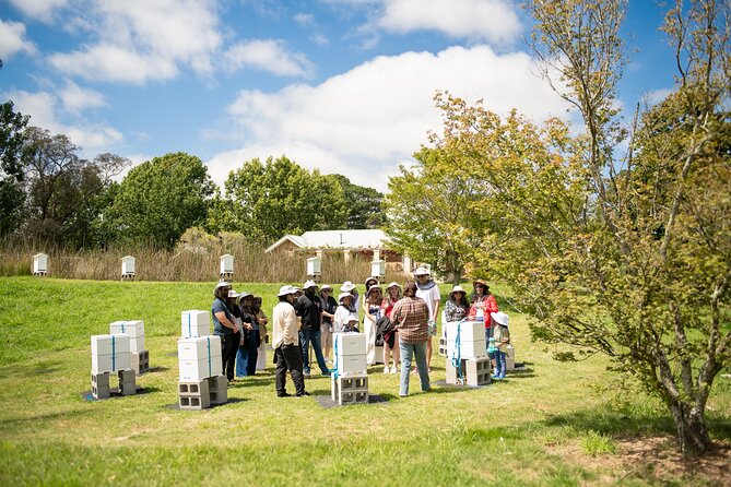 Honey Farm Tour. Morning Tea. Guided Tasting - Who will enjoy this Bowral activity?