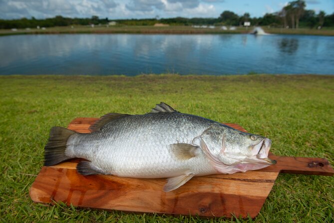 Hook-A-Barra Fishing and Farm Activity - Fishing at the big Barra Pond