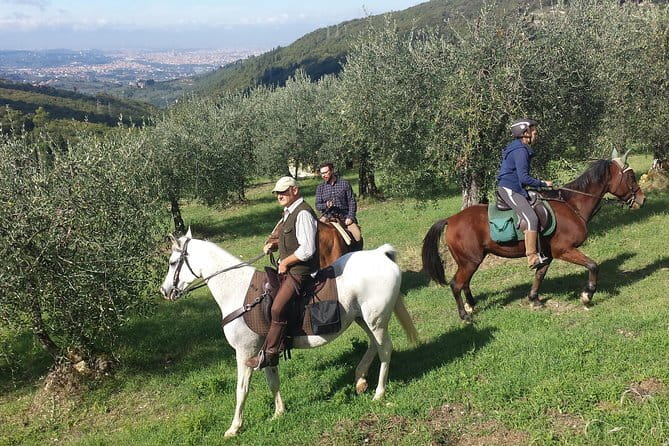Horse ride, Olive Oil and local foods tasting in a Tuscan farm - Five things to know before booking