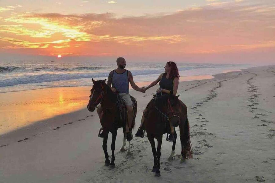Horse Riding and Training Experience on a Farm in Antalya - What the $32 Price Gets You