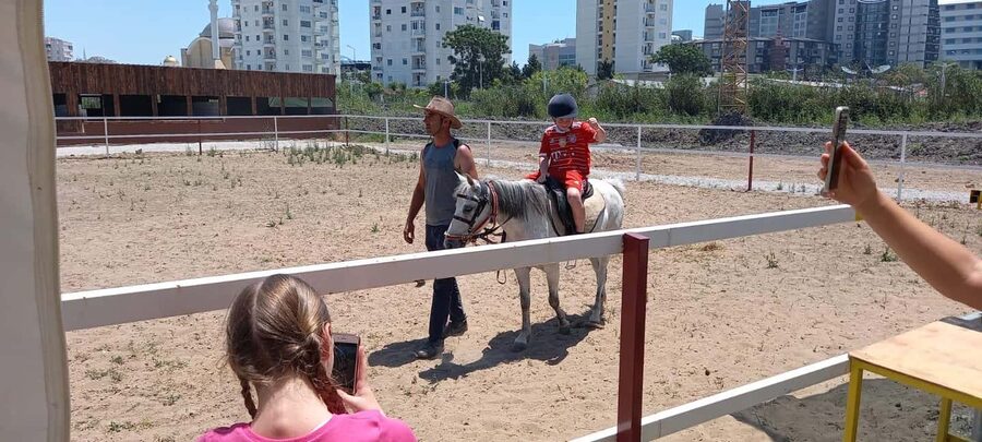 Horse Riding and Training Experience on a Farm in Antalya - Choosing Between a Horse, Camel, and Donkey